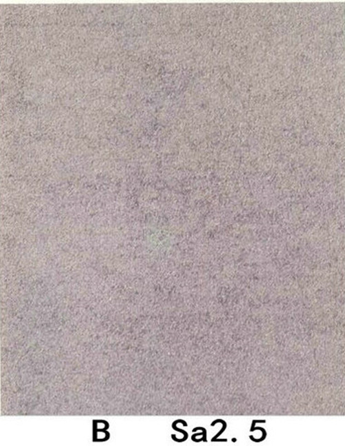 Sa2.5級 Sa2.5級